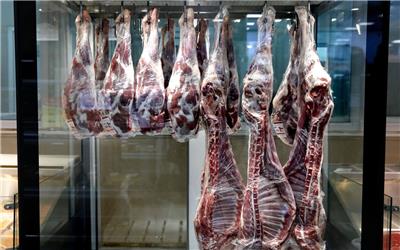توزیع گوشت گرم وارداتی هر کیلو 260 تا  290 هزار تومان/ البته در کرج